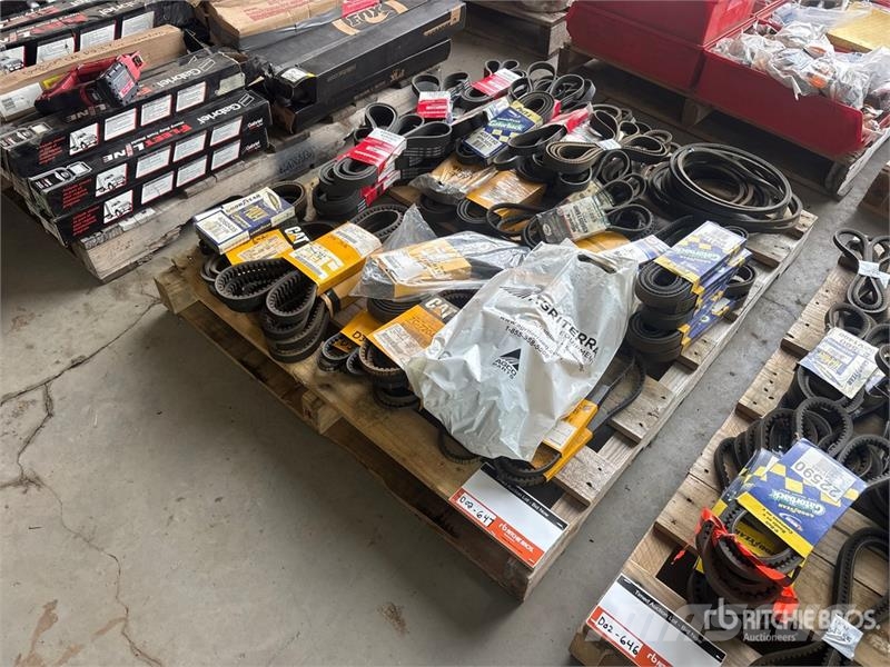 Quantity of Fan Belts (Unused) Transportes - Outros