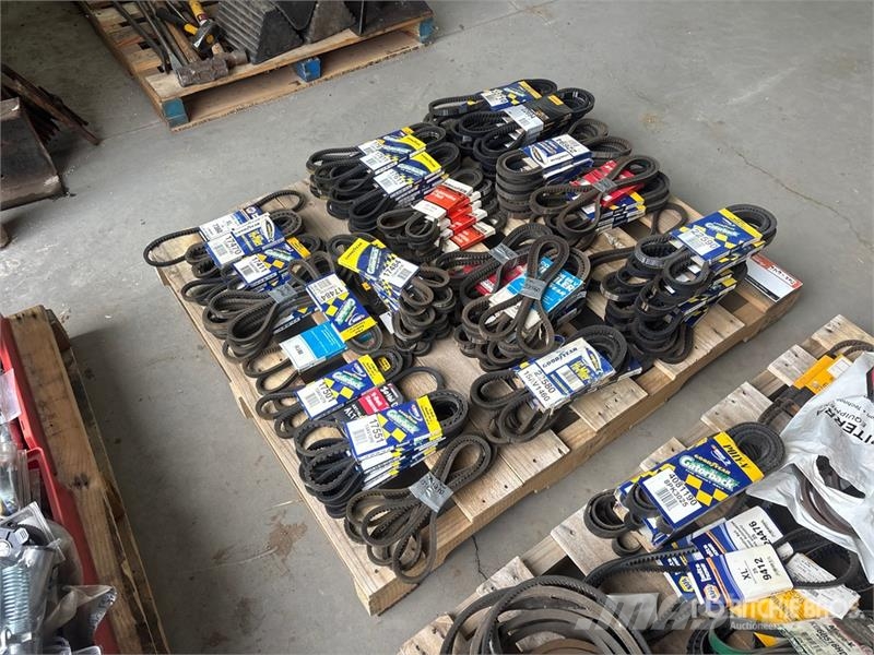 Quantity of Fan Belts (Unused) Transportes - Outros