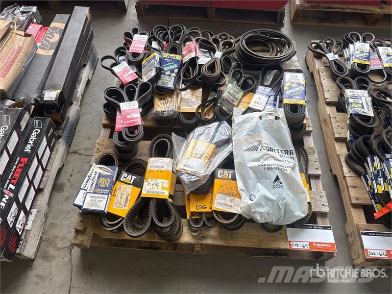 Quantity of Fan Belts (Unused) Transportes - Outros