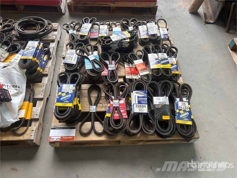 Quantity of Fan Belts (Unused) Transportes - Outros