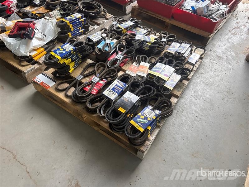 Quantity of Fan Belts (Unused) Transportes - Outros