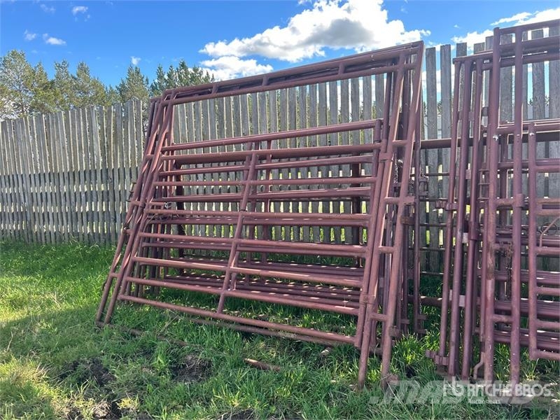  Quantity of Stampede Steel Over Head Livestock Gat Άλλα μηχανήματα κτηνοτροφίας και εξαρτήματα
