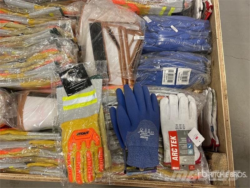 Quantity of Work Gloves (Unused) Other