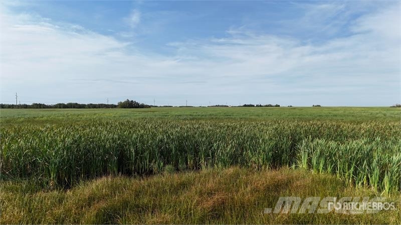Ryley, AB SE 4-50-17-W4 103.6 +/- Acres on Title F Další