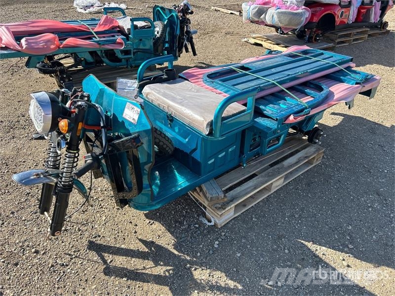  SDLOOL SL-EC15 Electric Trike (Unused) PKWs