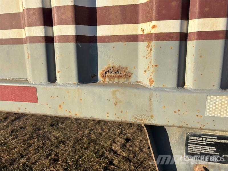 Triple E Industries 44 ft Tri/A Grain Trailer Прицепы перегрузчики зерна