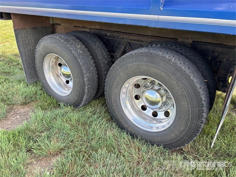 Volvo VNL 6x4 Grain Truck 农用/粮食运输车
