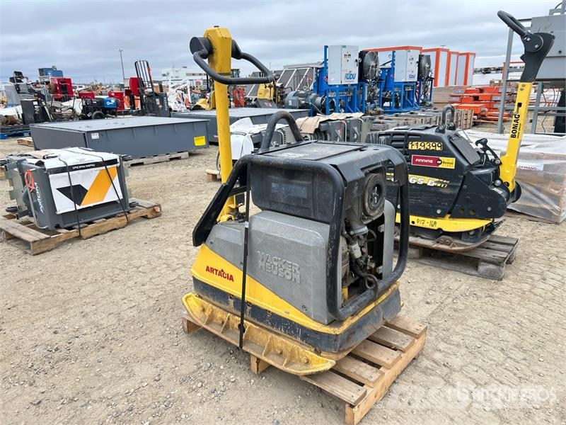Wacker Neuson DPU6555-HE Vibratory Plate Compactor دكاكات أفقية