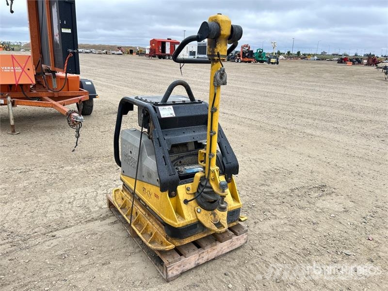 Wacker Neuson DPU6555-HE Vibratory Plate Compactor دكاكات أفقية