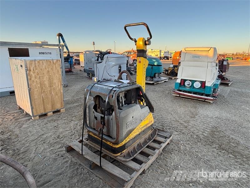 Wacker Neuson DPU6555 Vibratory Plate Compactor Vibratori