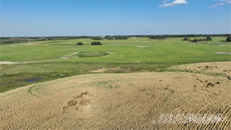 Whitewood, SK NE 13-15-4-W2 159.11 +/- Acres on Ti Poljoprivreda – ostalo