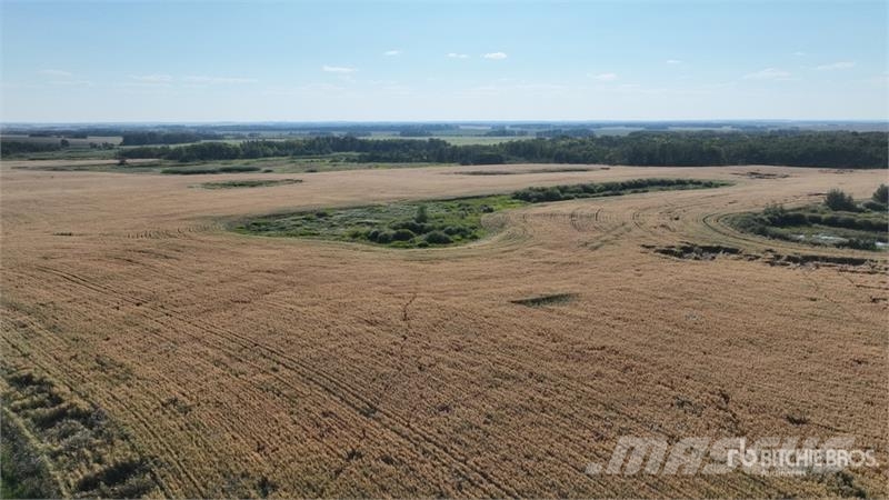 Whitewood, SK NE 13-15-4-W2 159.11 +/- Acres on Ti Poljoprivreda – ostalo