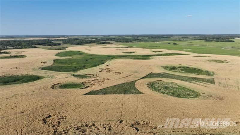 Whitewood, SK NE 13-15-4-W2 159.11 +/- Acres on Ti Poljoprivreda – ostalo