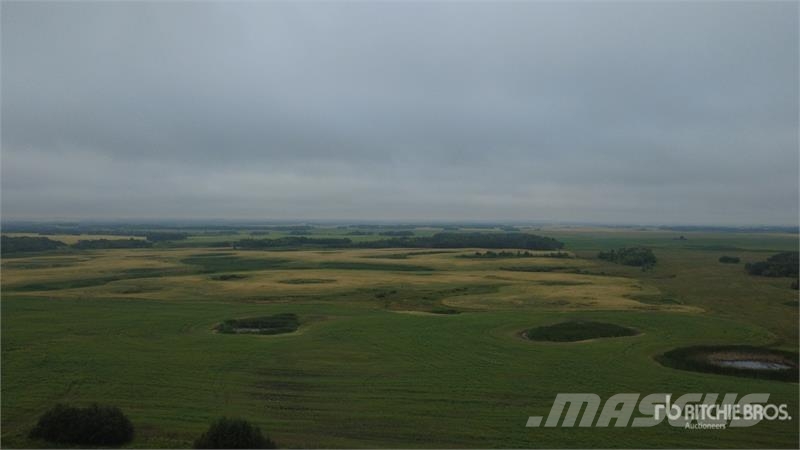 Whitewood, SK NE 13-15-4-W2 159.11 +/- Acres on Ti Lauksaimniecība- Citi