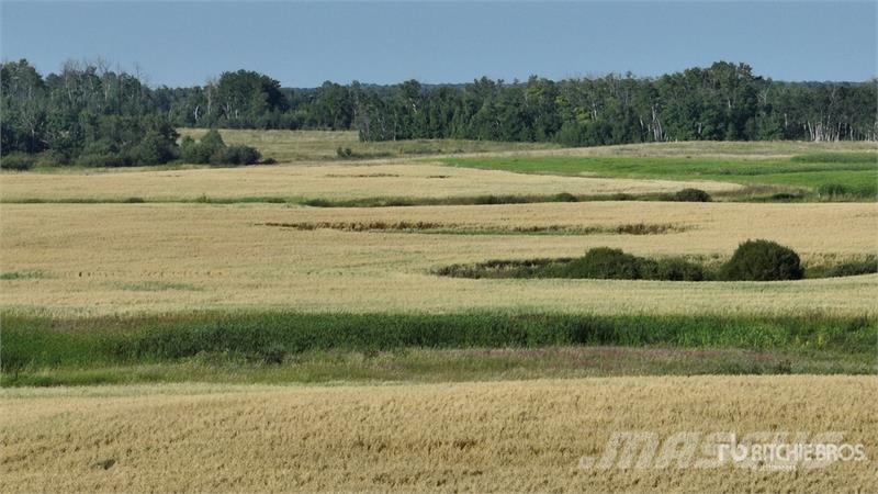 Whitewood, SK NE 13-15-4-W2 159.11 +/- Acres on Ti Poljoprivreda – ostalo