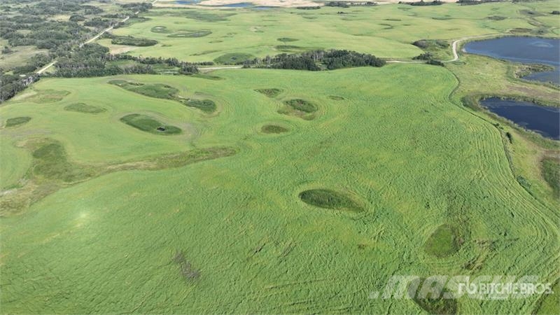 Whitewood, SK NE 7-15-3-W2 161.37 +/- Acres on Tit Poljoprivreda – ostalo