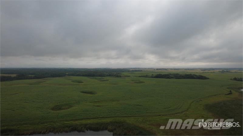  Whitewood, SK NE 7-15-3-W2 161.37 +/- Acres on Tit Lauksaimniecība- Citi