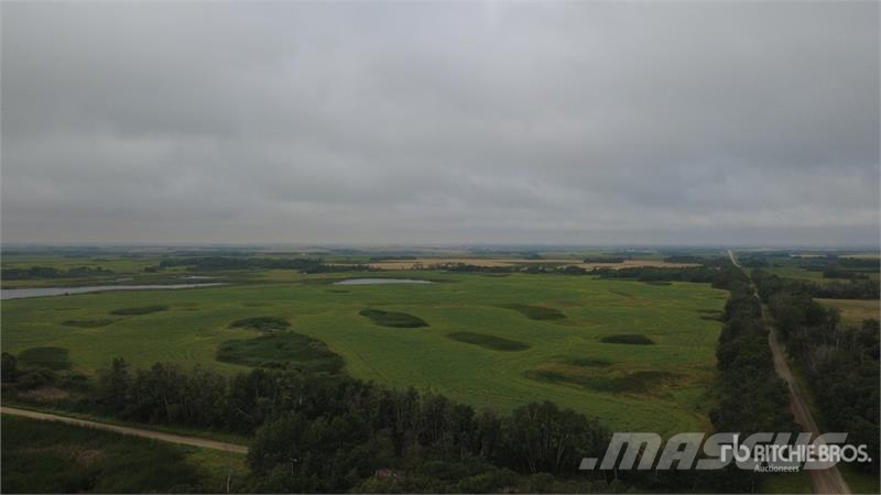  Whitewood, SK NE 7-15-3-W2 161.37 +/- Acres on Tit Lauksaimniecība- Citi