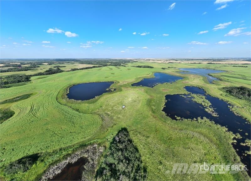 Whitewood, SK NE 7-15-3-W2 161.37 +/- Acres on Tit Poljoprivreda – ostalo