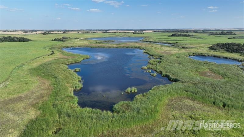 Whitewood, SK NE 7-15-3-W2 161.37 +/- Acres on Tit Poljoprivreda – ostalo