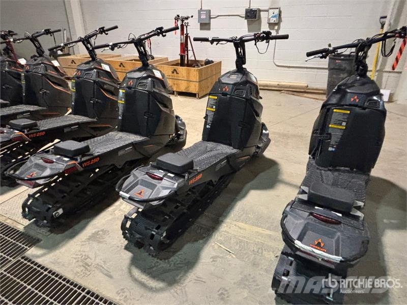  Widescape WS250 EFI Snowmobile Snøscootere