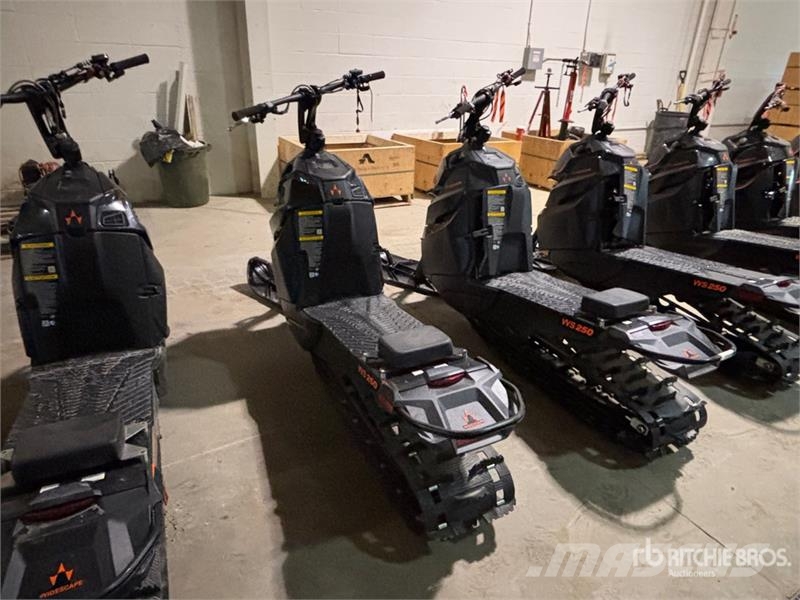  Widescape WS250 EFI Stand Up Snowmobile Moottorikelkat