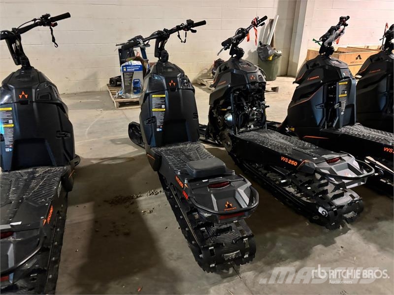 Widescape WS250 EFI Stand Up Snowmobile Snøscootere