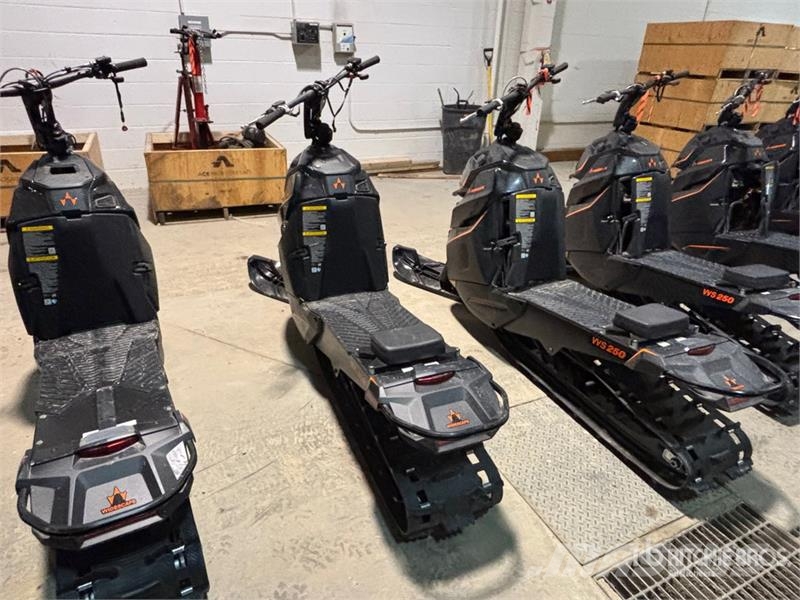 Widescape WS250 EFI Stand Up Snowmobile Moottorikelkat