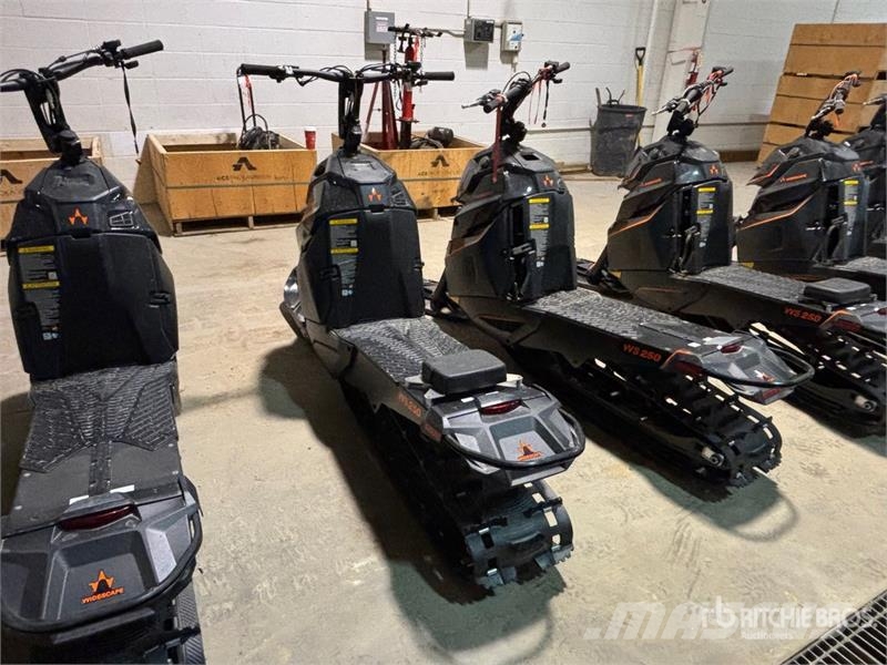 Widescape WS250 EFI Stand Up Snowmobile Snøscootere