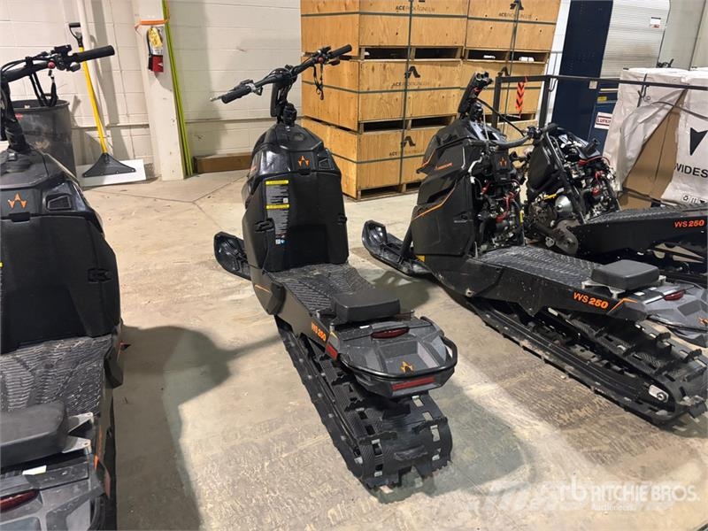 Widescape WS250 EFI Stand Up Snowmobile Snøscootere