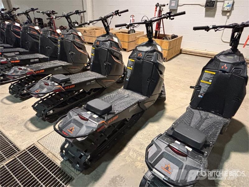 Widescape WS250 EFI Stand Up Snowmobile Moottorikelkat