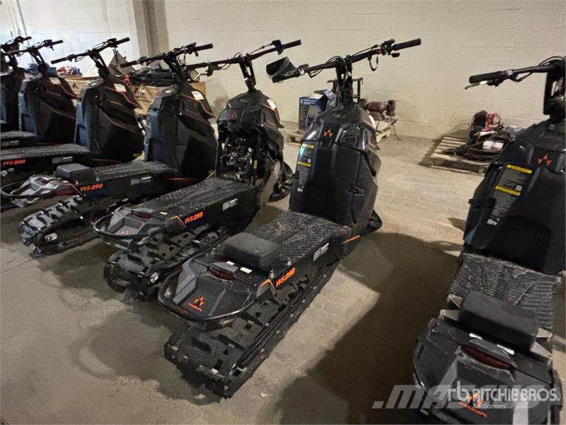 Widescape WS250 EFI Stand Up Snowmobile Snøscootere