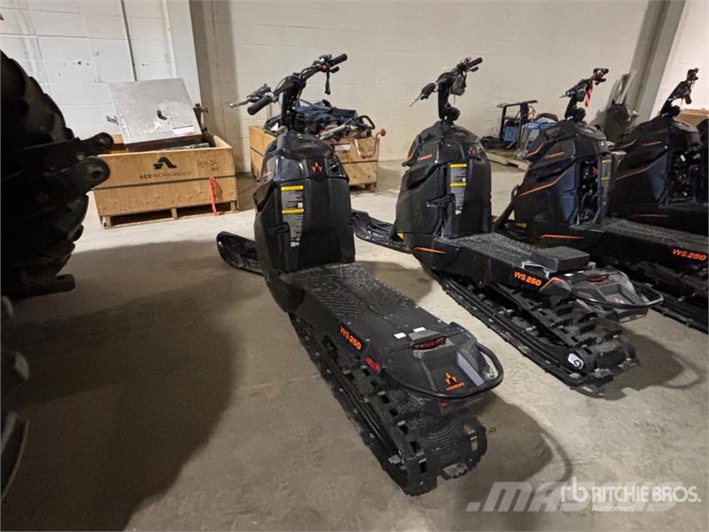 Widescape WS250 EFI Stand Up Snowmobile Snøscootere