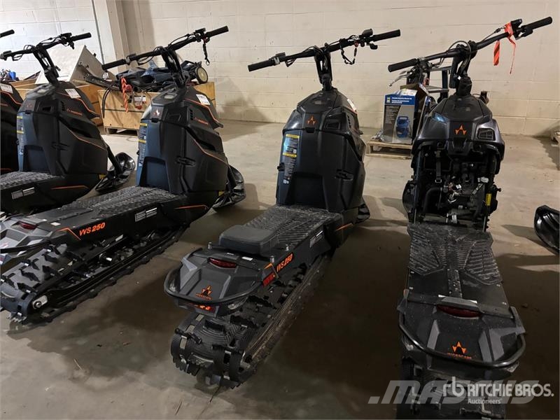  Widescape WS250 Stand Up Snowmobile Motoros szánok