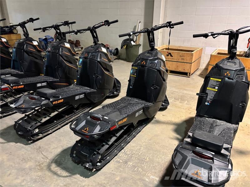 Widescape WS250 Stand Up Snowmobile Moottorikelkat
