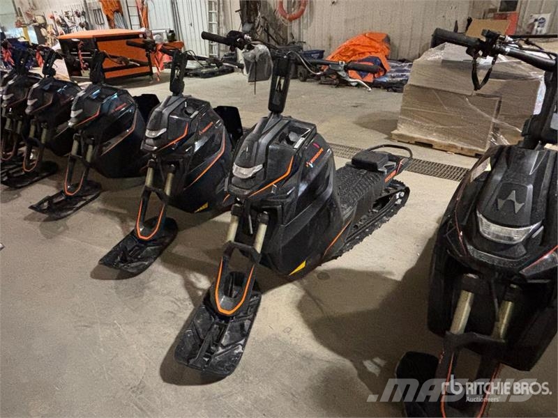 Widescape WS250 Stand Up Snowmobile Motoros szánok