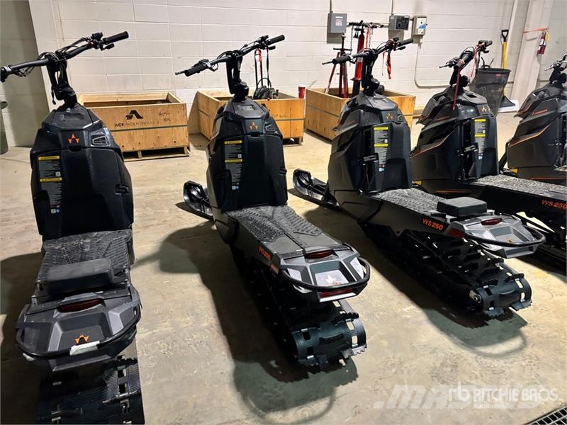Widescape WS250 Stand Up Snowmobile Moottorikelkat