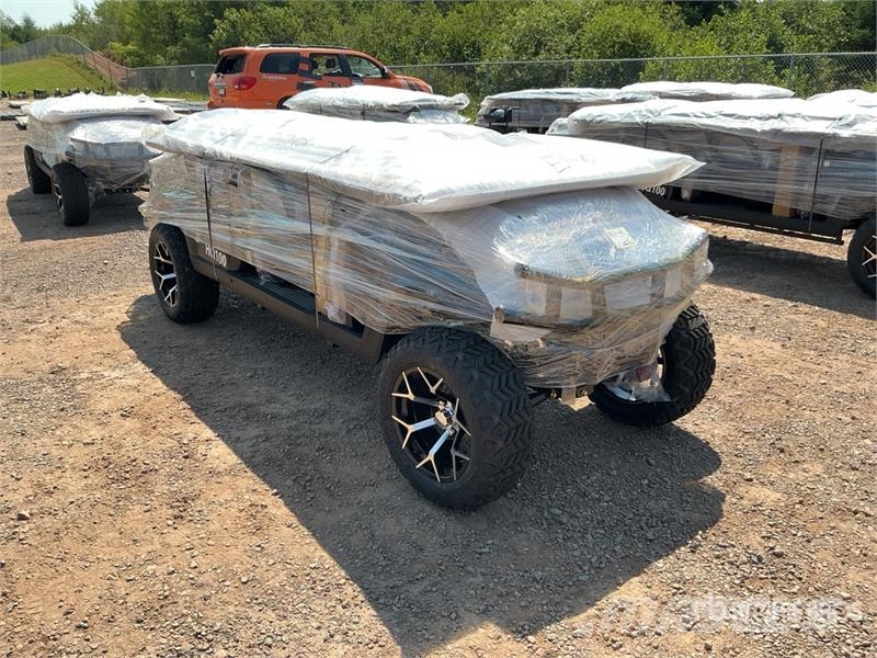 Electric Golf Cart (Unused) Golfo vežimėliai