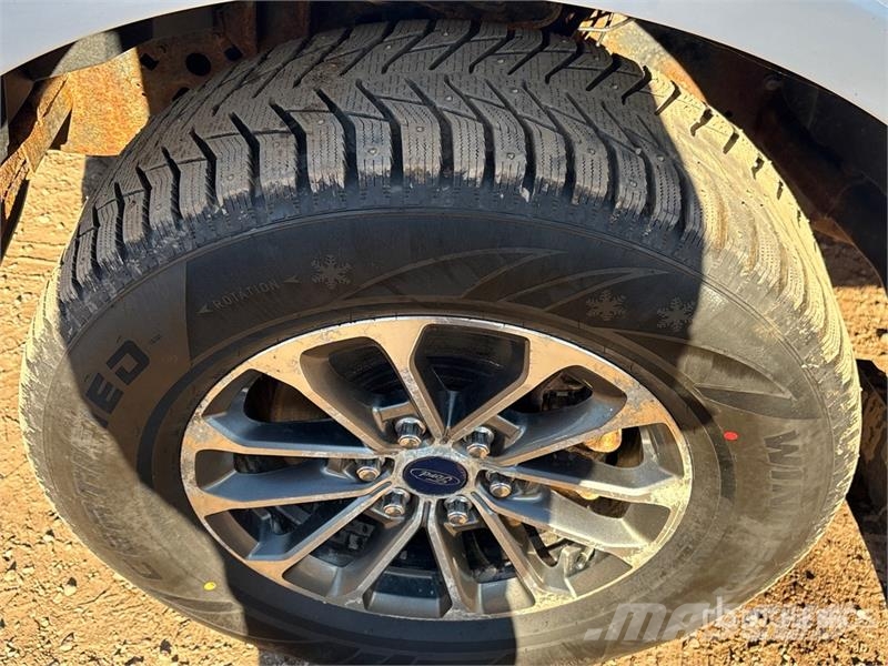 Ford F-150 Anders