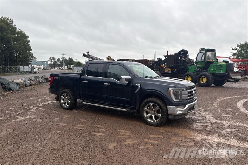 Ford F-150 4x4 Crew Cab Pickup Andre varebiler