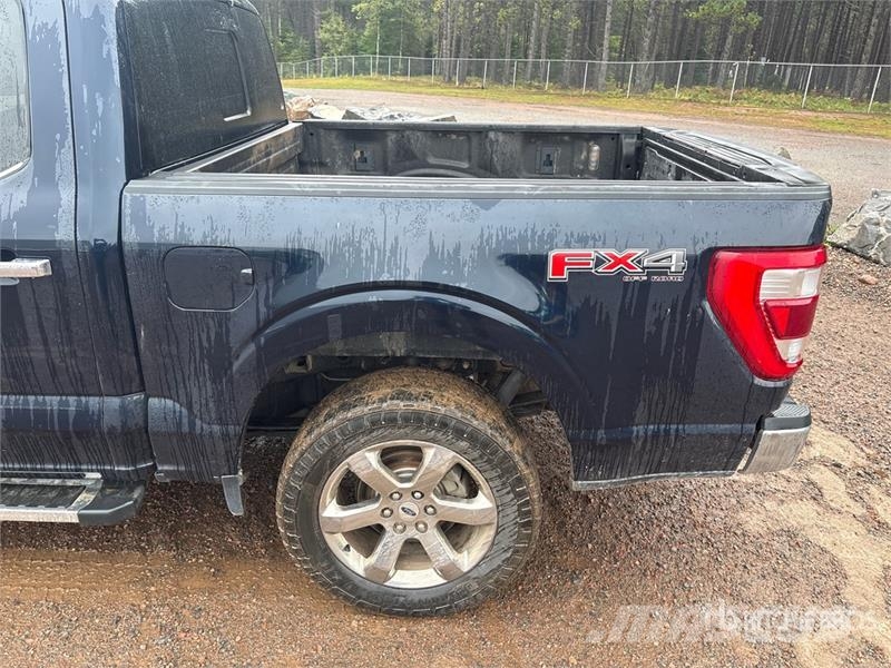 Ford F-150 4x4 Crew Cab Pickup Andre varebiler