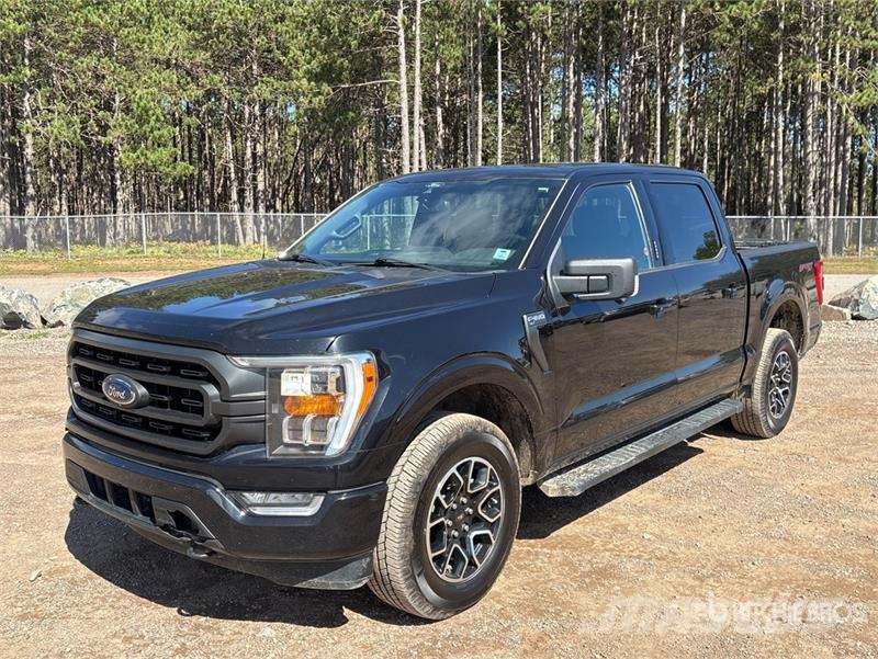 Ford F-150 XLT 4x4 Crew Cab Pickup Andre varebiler