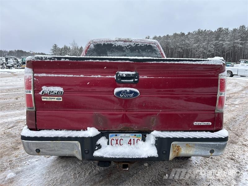 Ford F-150 XLT 4x4 Crew Cab Pickup (Inoperable) Furgoni altro