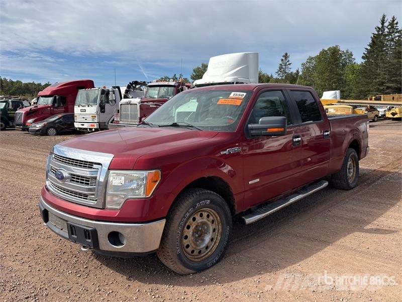 Ford F-150 XLT 4x4 Crew Cab Pickup (Inoperable) Furgoni altro