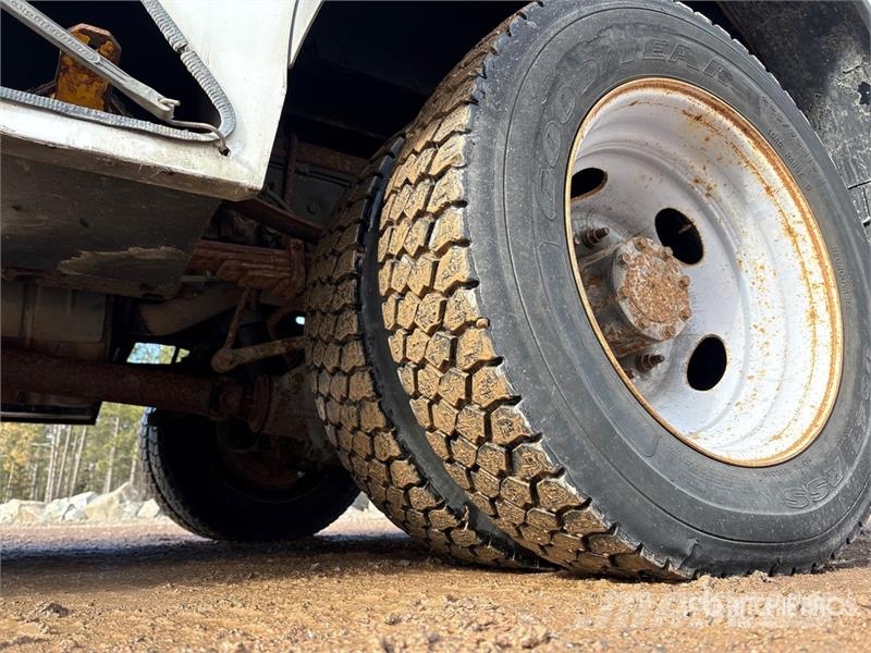 Ford F-550 Plataformas sobre camión