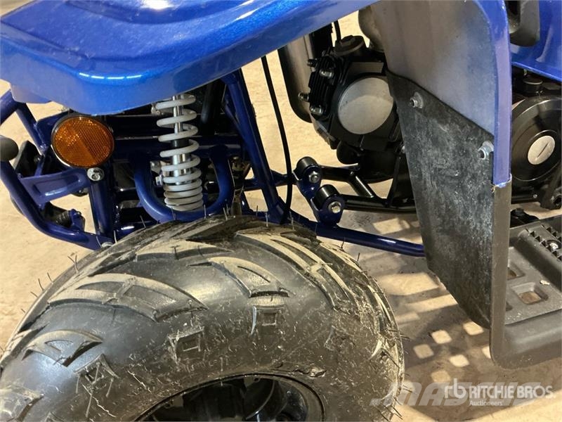 Tao 4x2 ATV (Unused) Всюдиходи