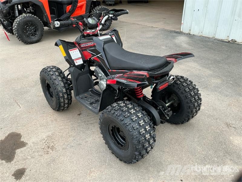 Tao 4x2 ATV (Unused) Всюдиходи