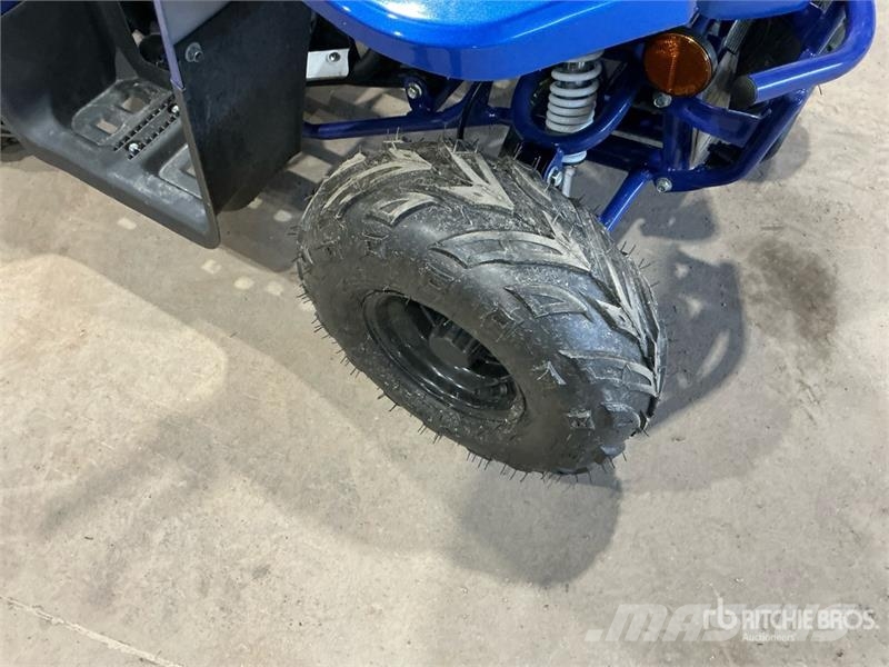 Tao 4x2 ATV (Unused) Всюдиходи