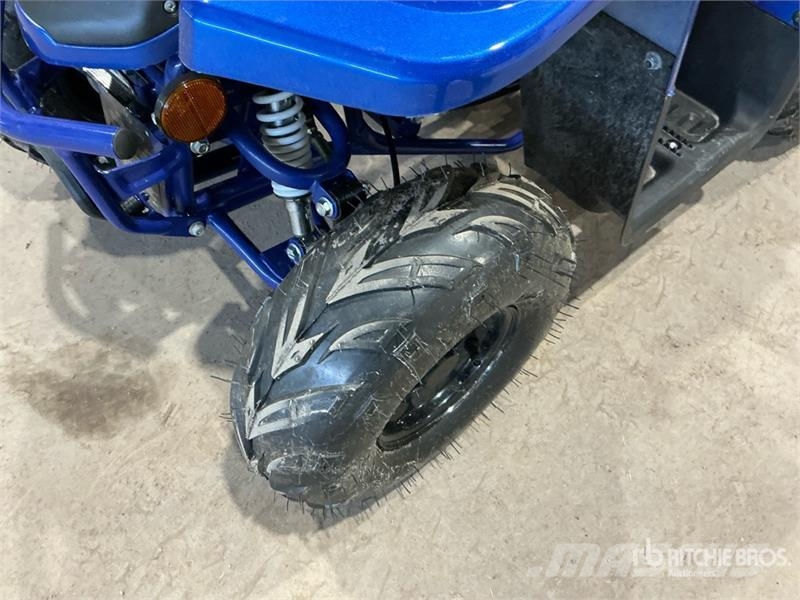 Tao 4x2 ATV (Unused) Всюдиходи