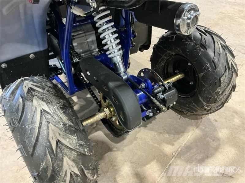 Tao 4x2 ATV (Unused) Всюдиходи
